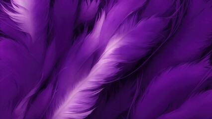 Obraz premium Stylish Purple Soft Feathers Background