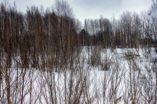 Nearby, the Samotlor oil field is the largest oil field in Russia and the 7th largest in the world.