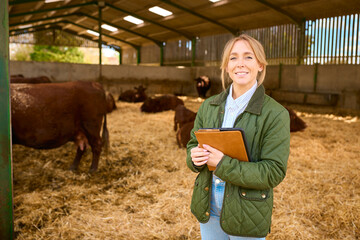 Portrait Of Female Farm Worker Or Manager Standing Inside Cattle Barn With Digital Tablet