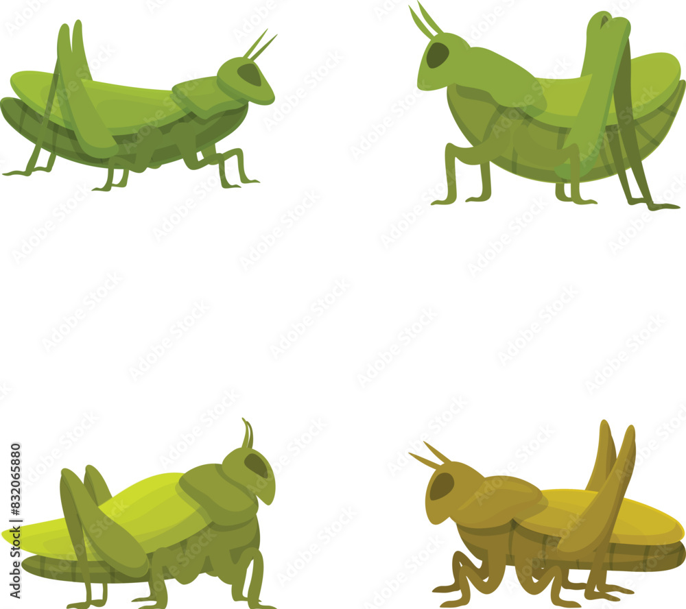 Poster colorful cartoon grasshopper illustrations set with multiple playful and cheerful insect character d