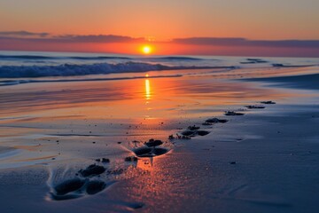 Close-up of a seagulls footprints in the wet sand, disappearing towards the vast ocean and a vibrant sunrise