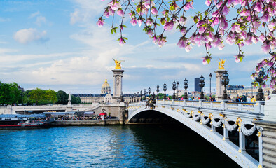 Paris landmark - famouse Alexandre III Bridge over Seine at blue dusk, Paris, France