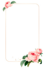 Pink cabbage rose pattern on a gold frame design element