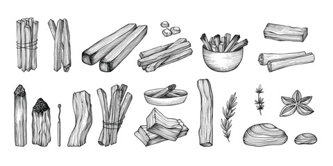 Palo santo sticks. Hand drawn aroma burning stick, ritual elements and sacred symbols for witchcraft, boho aromatherapy wood. Vector collection of aroma, esoteric hand drawn palo santo illustration