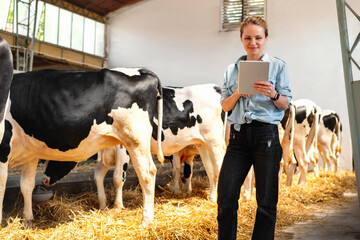 A female livestock breeder stands in a cowshed on a farm and uses a digital tablet. Wireless smart...