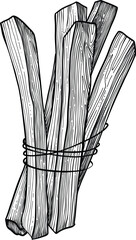 Palo santo stick. Hand drawn aroma burning stick, ritual element and sacred symbol for witchcraft, boho aromatherapy wood. Vector of aroma, esoteric hand drawn palo santo illustration