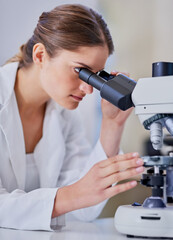 Scientist, microscope and research in lab for medical study, investigation or pharmaceutical...