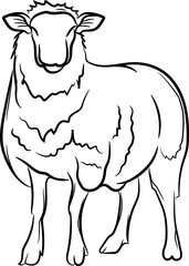 Illustration of Sheep isolated on a hand-drawn white background