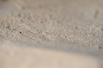 grains of sand on a beach close-up