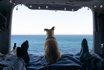 Dog inside a camper van looking at the sea. Traveling with a dog