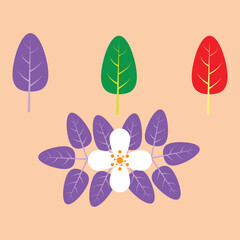 butterfly on a flower background