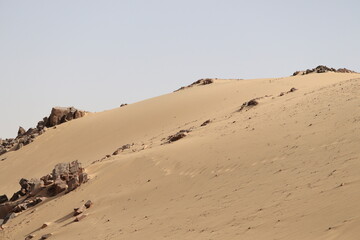 sand dunes in the desert