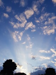 Obraz premium Sunset in the sky with clouds and silhouette of trees, Italy