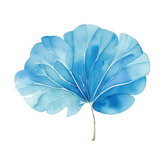 blue flower isolated on white