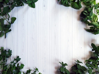 Świeże zioła układające się w ramkę na stole z białych desek: bazylia, mięta, pietruszka, melisa. © KJP Photography