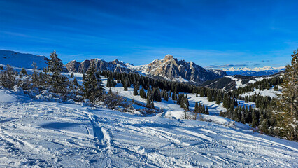 Snowy winter landscape with trees and peaks, Dolomites, Italy