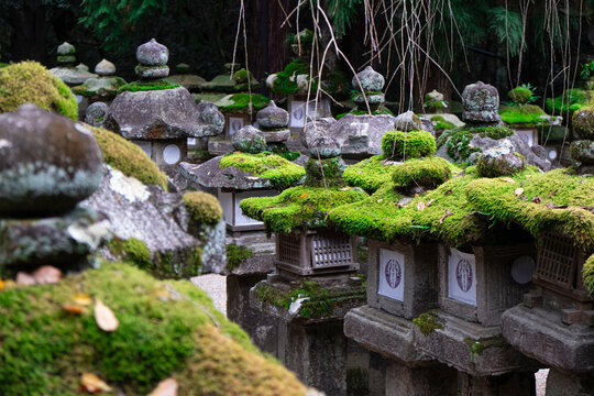 A photo of moss thriving on stone lanterns in Kasuga Temple garden in Nara, Honshu, Japan