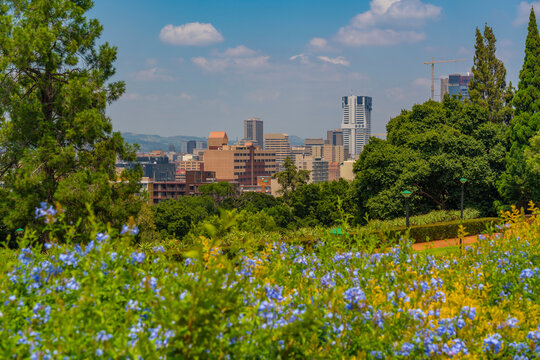 View of Pretoria skyline and Union Buildings Gardens from Union Buildings, Pretoria Central, Pretoria, South Africa