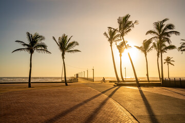 View of palm trees, promenade and Indian Ocean in background at sunrise, Durban, KwaZulu-Natal Province, South Africa