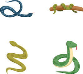 Set of four different cartoon snake illustrations isolated on a white background