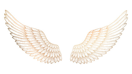 Golden wings sticker overlay with a white border design element © Rawpixel.com