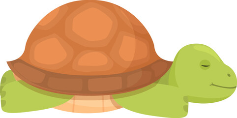 Smiling cartoon tortoise illustration with colorful. Adorable. And cheerful wildlife character design for kids' education. Nature