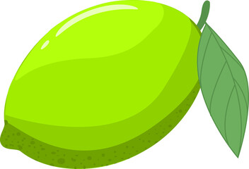 illustration of an lime with leaves