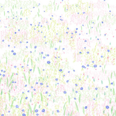 Sketched png summer flower pattern transparent background