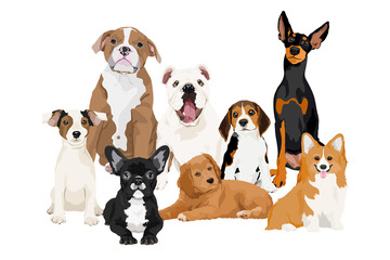 Dogs and puppies png illustration sticker, different breeds, transparent background
