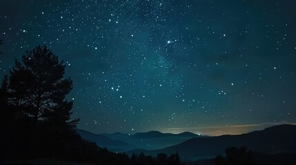 Fototapeta premium A dark sky park with a clear, star-filled night sky, perfect for stargazing and astrophotography