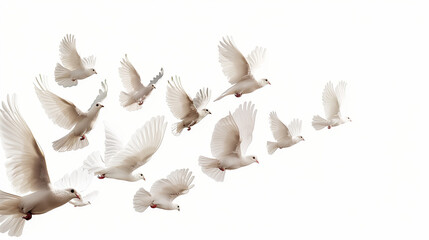 Fototapeta premium A group of doves flying in the sky, in png transparent 