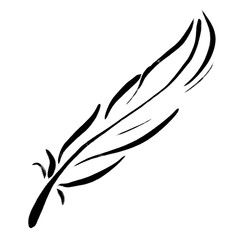 Feather  png clipart, drawing illustration, transparent background