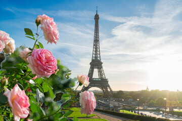 Eiffel Tower landmark from Trocadero at sunrise, Paris, France