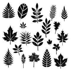 vector black leaf inked silhouettes set. vector isolated illustration of different leaves