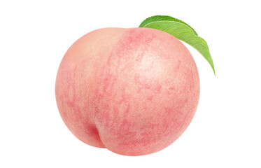 桃のイラスト リアル 白バック