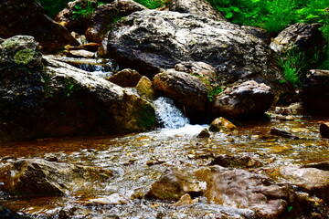 Stream in the mountains
