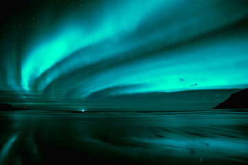Polar lights, Aurora borealis in blue over beach, Norway