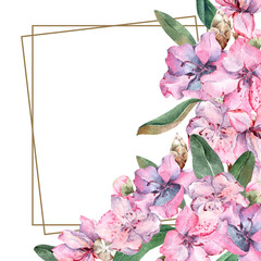 Floral square frame with pink blooming flowers. Corner composition  bouquet of exotic azaleas with green leaves. Hand drawn watercolor illustration on white background for cards, wedding invitations.