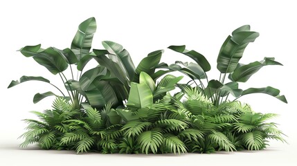 Lush tropical plants with large green leaves against a white background, perfect for botanical or nature-themed stock images.