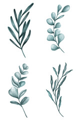 Green leaves collection transparent png
