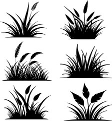 Set of grass silhouette icon for lawn or gardening service isolated on white background