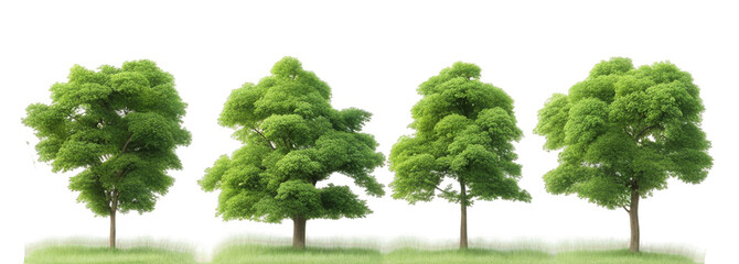 Four lush green trees standing in a row on a grassy patch, growth, and greenery isolate on transparent background, cutout, png