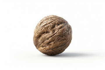 Obraz premium a walnut shell on a white surface