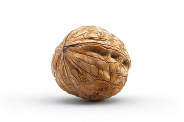 Obraz premium a walnut shell with a single walnut in the middle