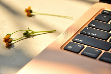 A Computer with Flowers