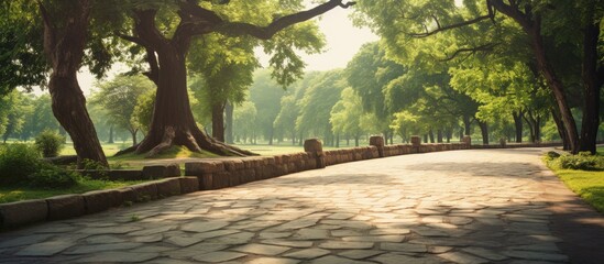 empty asphalt road in park. Creative banner. Copyspace image
