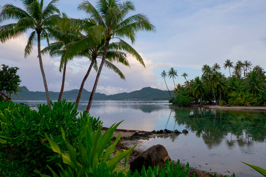 A tranquil tropical beach scene with palm trees framing a calm bay, reflecting the sky at dusk.