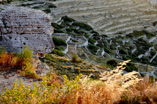 A landscape featuring terraced hillsides with lush greenery under the warm light of the sun, highlighting the textures of the terrain and the vegetation.