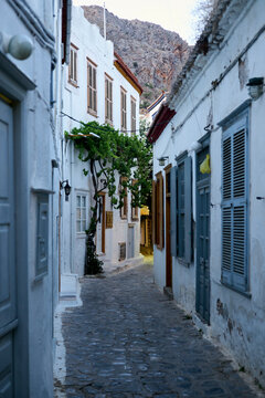A narrow cobblestone street flanked by traditional white houses with wooden shutters and a rich green vine growing overhead, possibly in a Mediterranean town.