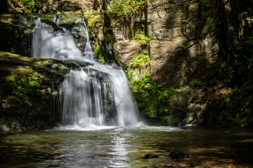 Obraz premium Amazing water cascade on stony creek in sunny summer forest